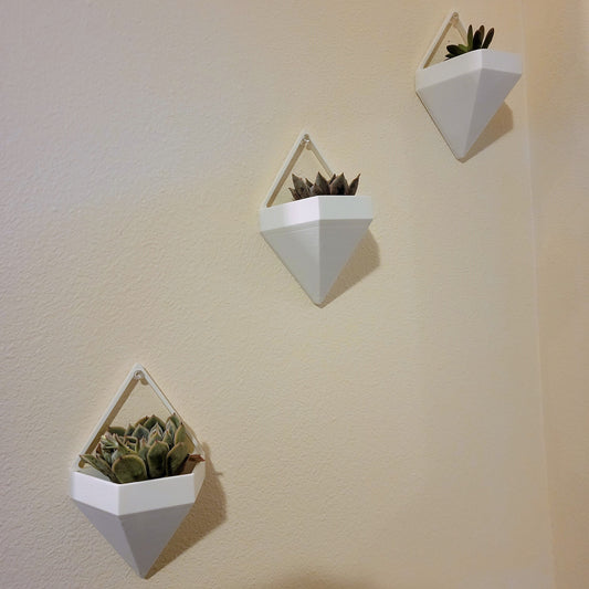 Succulent Plant Wall Hangers (Set of 3)