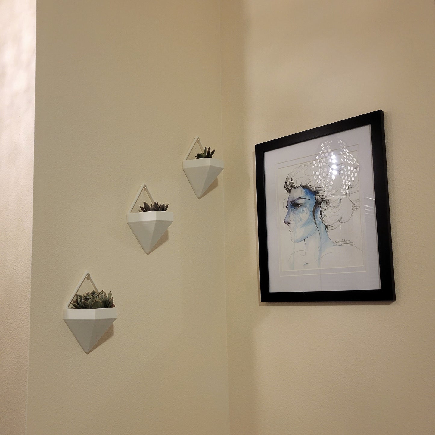 Succulent Plant Wall Hangers (Set of 3)